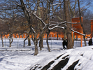 p116.jpg