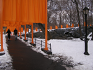 p209.jpg