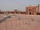 p20.jpg