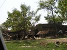 p05.jpg