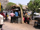 p09.jpg