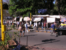 p13.jpg