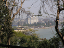 p15.jpg