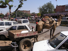 p08.jpg