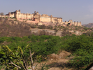 p002.jpg