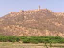 p003.jpg