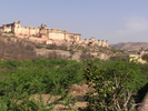 p005.jpg