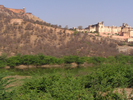 p006.jpg