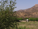 p010.jpg