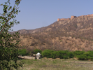p011.jpg