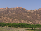 p012.jpg