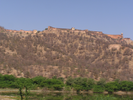 p013.jpg