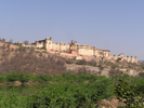 p015.jpg