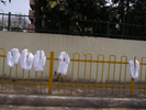 p36.jpg