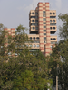 p57.jpg