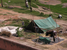 p023.jpg