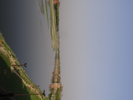 p094.jpg