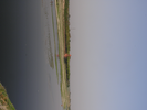 p095.jpg