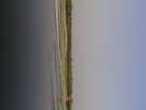 p096.jpg