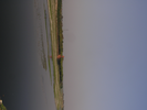 p103.jpg