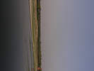 p104.jpg