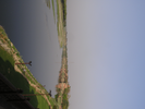 p111.jpg