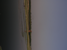 p118.jpg