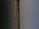 p119.jpg