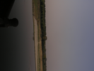 p120.jpg