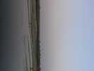 p167.jpg