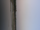 p168.jpg
