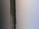 p169.jpg