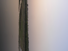 p170.jpg
