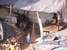 p115.jpg