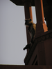 p120.jpg