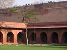 p123.jpg