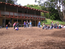 p23.jpg
