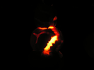 p113.jpg
