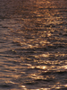 p106.jpg