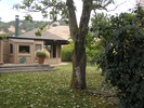 p10.jpg