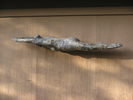p38.jpg