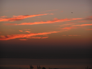 p083.jpg