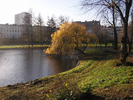 p002.jpg