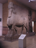 p045.jpg