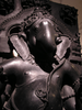 p051.jpg