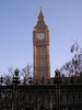 p013.jpg