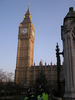p015.jpg