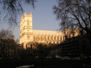 p037.jpg
