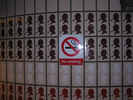 p002.jpg