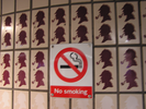 p003.jpg